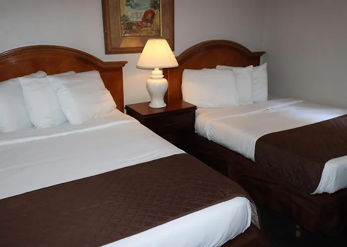Motel The Burgundy And